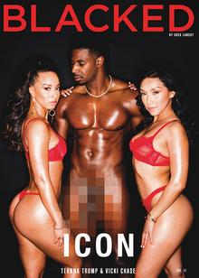 Blacked icon vol.11