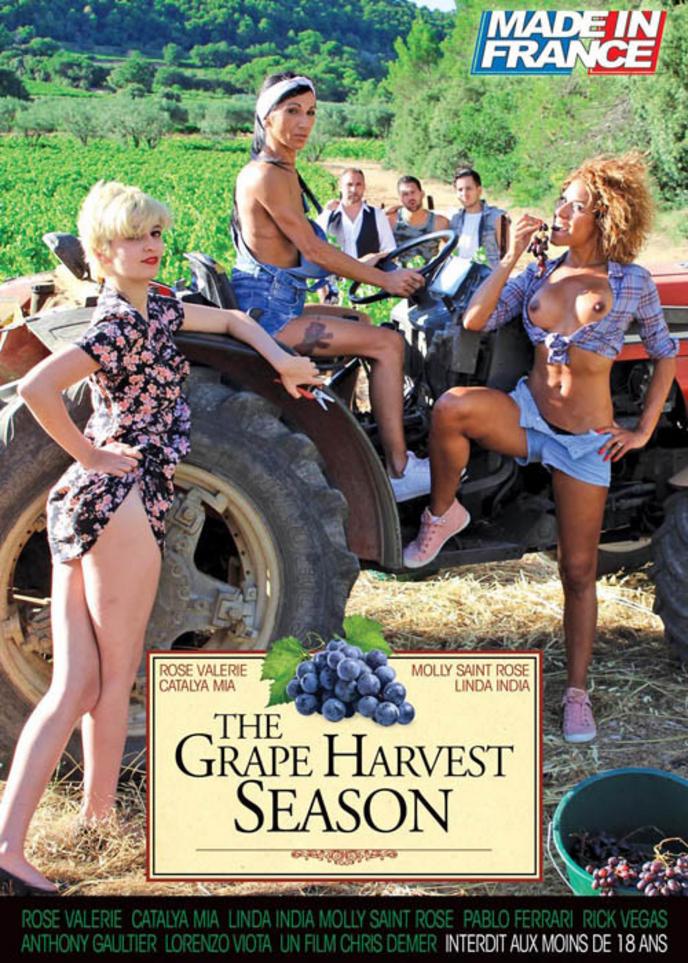 The grape harvest season movie X streaming unlimited porn video  