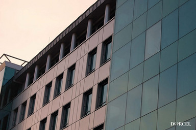 Girls at work - die beraterin