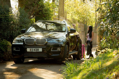 Les Etalons de Mademoiselle