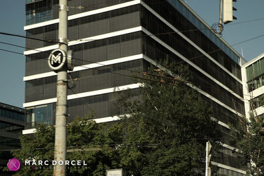 My submissive secretary