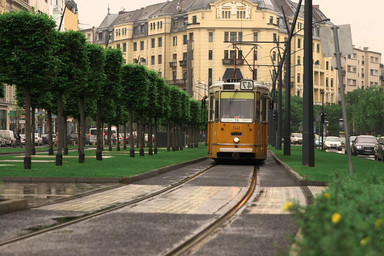 39 ans, mariée et ouverte à tous