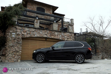 Russian Institute - L'effrontée