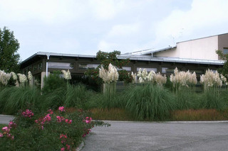 40 ans, mariée mais libertine