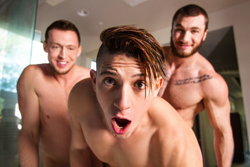 William Seed Saves The World