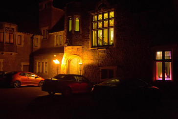 The Mademoiselle's Stallions