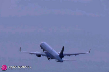 Les hôtesses de l'air