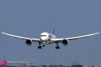 Les hôtesses de l'air