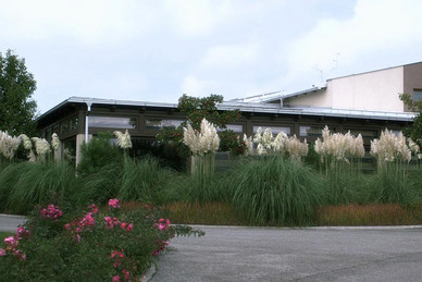 Cathy 40, cheating housewife