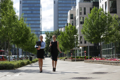 Secrétaire à Lunettes