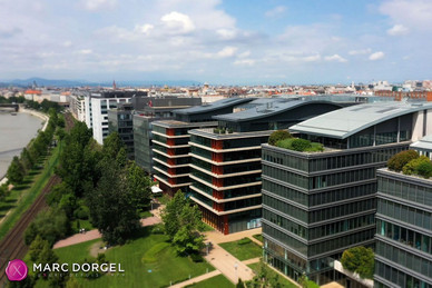 The secretary's nights