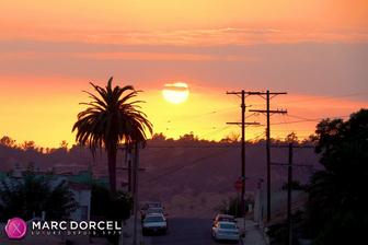 40 jahre alt und zum leben erwacht