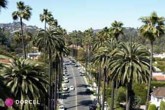 One night in Los Angeles