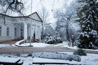 Claire Castel : The Chambermaid