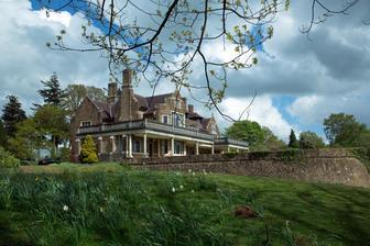 The Mademoiselle's Stallions