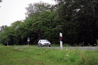 Russian Institute - The New School Girl