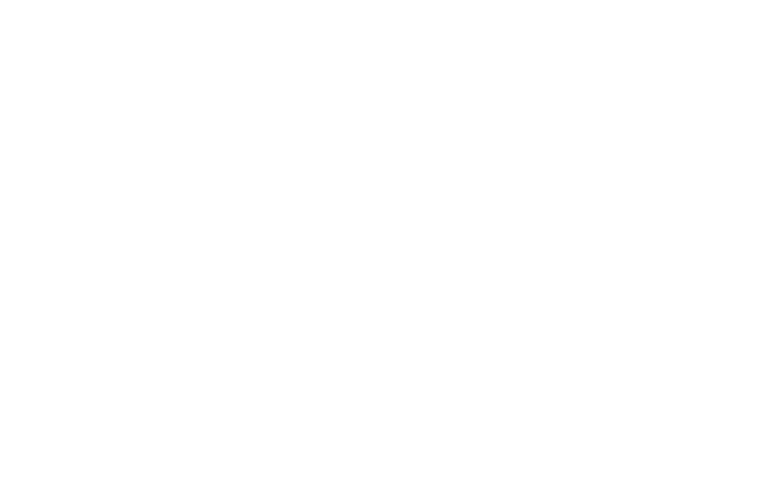 Reislin vol.8